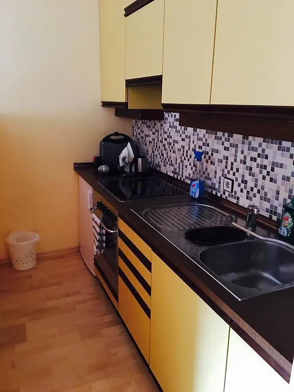 Central City Apartment Graz